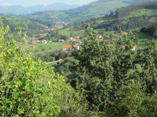 Cueva de El Castillo